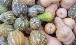 美颜吃空心瓜,解锁空心瓜的美味新境界