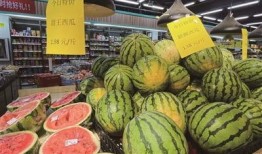 6月温州吃瓜,一场别开生面的“吃瓜”盛宴