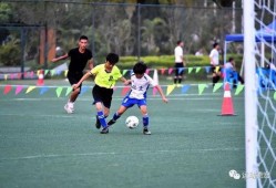 体育彩票杯足球比分直播,体育彩票杯足球比分直播精彩瞬间