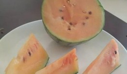 夏天吃啥瓜呀,各式瓜果盛宴