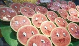 到家吃瓜的,揭秘网络热词背后的趣味与思考