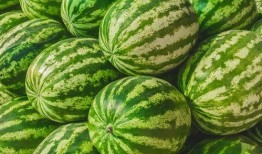 找我吃瓜的图片,一场视觉盛宴的幕后故事