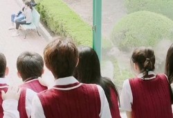 疫情吃瓜追剧,吃瓜追剧指南