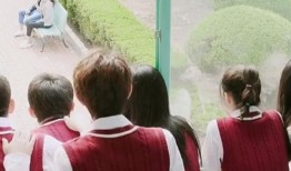 疫情吃瓜追剧,吃瓜追剧指南