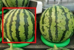 拍摄后期吃瓜设备,拍摄后期吃瓜设备大揭秘