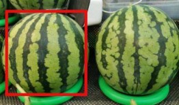 拍摄后期吃瓜设备,拍摄后期吃瓜设备大揭秘