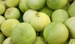 6月温州吃瓜,一场别开生面的“吃瓜”盛宴