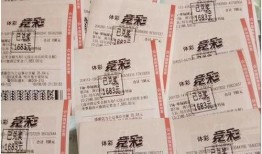 竞彩足球比分奖金大概,揭秘赛事盈利之道