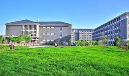 洛阳师范学院吃瓜,揭秘校园美食风云