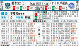 枥木与水户足球比分预测,足球对决，比分预测揭晓！”