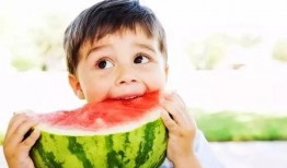 吃瓜姐妹是什么瓜,一场关于网络热词的趣味探讨