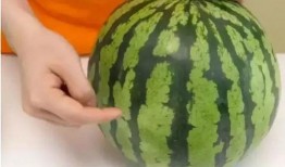 瓜吃的够多了,尽享夏日甜蜜滋味