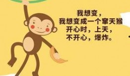 聚会吃瓜文案短句搞笑,聚会吃瓜，欢乐无限短句集锦