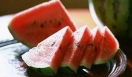 吃瓜铲勺,一勺掌握瓜界潮流