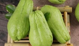 拾月吃瓜,揭秘娱乐圈幕后故事