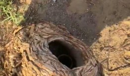 沙漠里吃瓜吃馕,瓜果馕香，探寻沙漠中的美味之旅