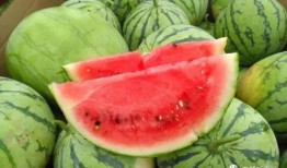 到家吃瓜的,揭秘网络热词背后的趣味与思考